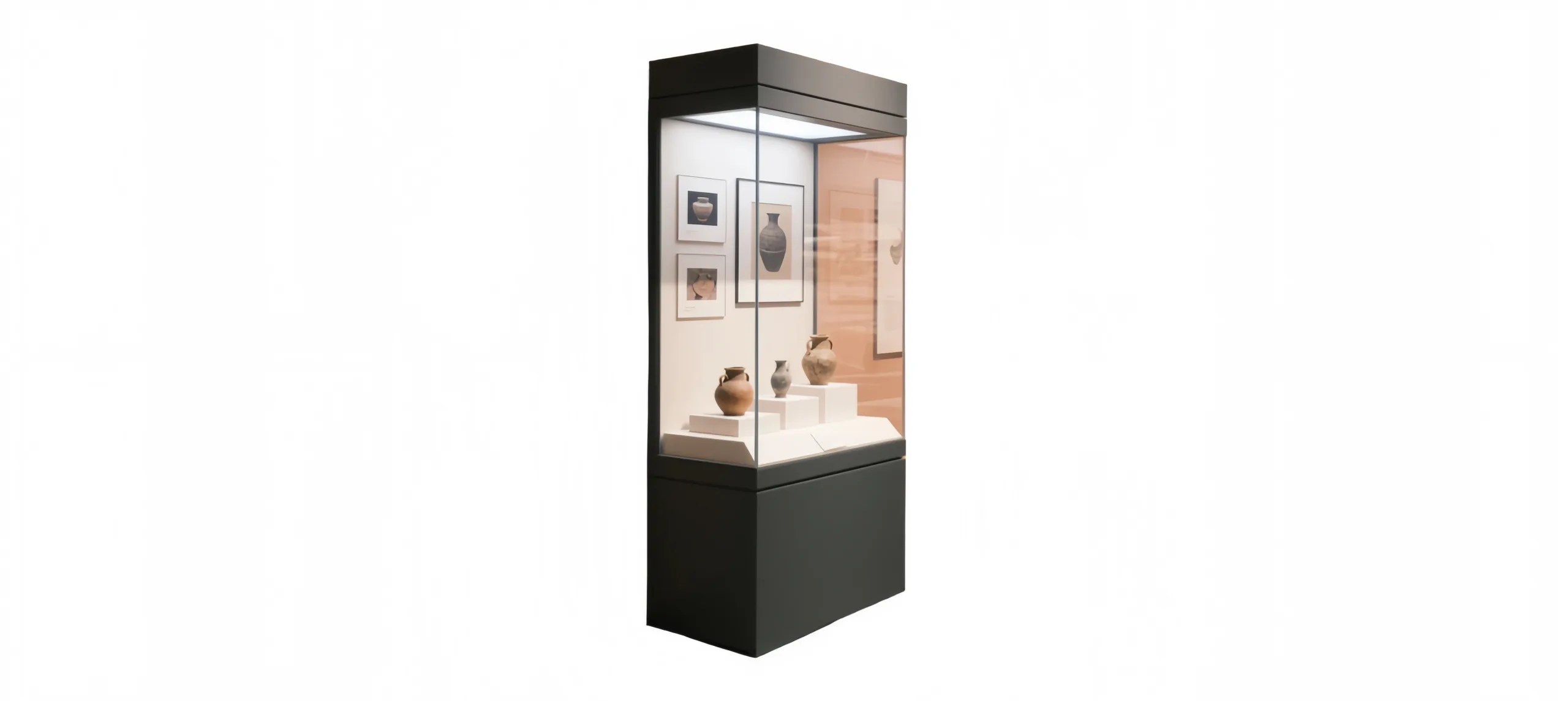 Museum Display Showcase